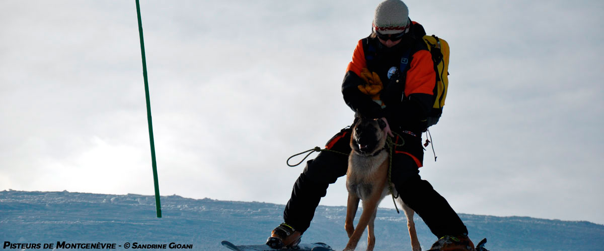 Offre d emploi pisteur secouriste